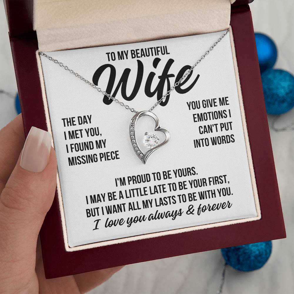 To My Beautiful Wife "The Day I Met You" Forever Love Necklace LS079