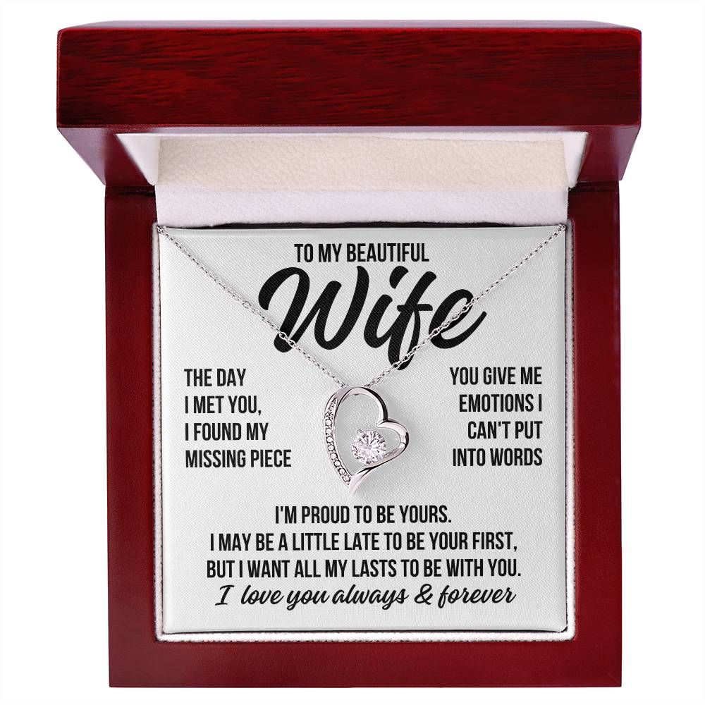 To My Beautiful Wife "The Day I Met You" Forever Love Necklace LS079