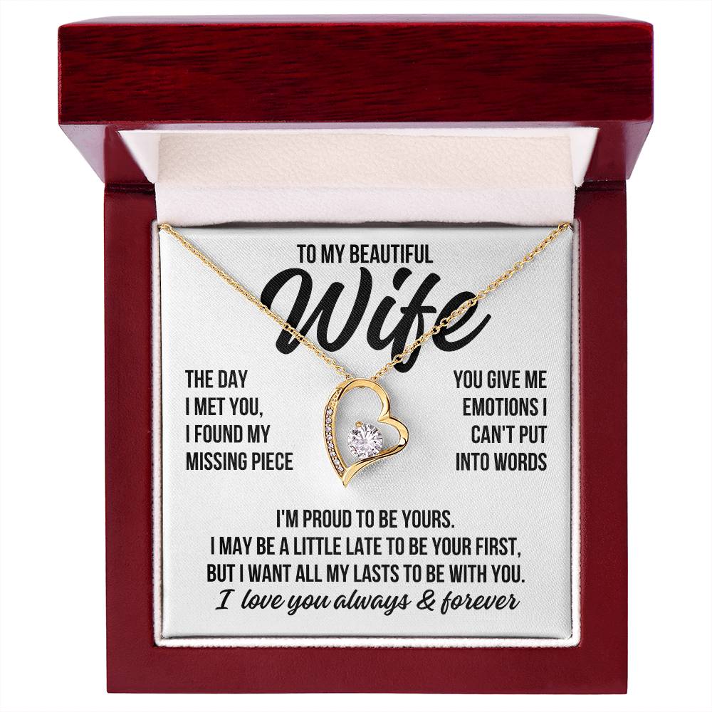 To My Beautiful Wife "The Day I Met You" Forever Love Necklace LS079