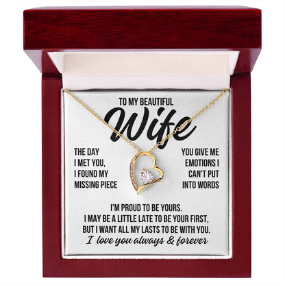 To My Beautiful Wife "The Day I Met You" Forever Love Necklace LS079